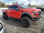 2018 Ford F150 Raptor