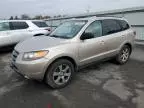 2007 Hyundai Santa FE SE