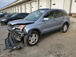 Honda cr-v exl salvage cars for sale: 2011 Honda CR-V EXL