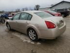 2004 Nissan Maxima SE