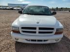 2002 Dodge Dakota Quad Sport