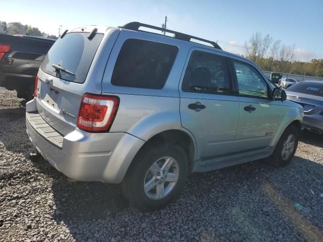 2010 Ford Escape Hybrid