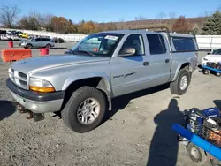 Salvage cars for sale from Copart Grantville, PA: 2001 Dodge Dakota Quattro