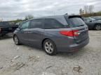 2019 Honda Odyssey EXL