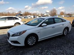 Salvage cars for sale at Hillsborough, NJ auction: 2017 Hyundai Sonata Hybrid