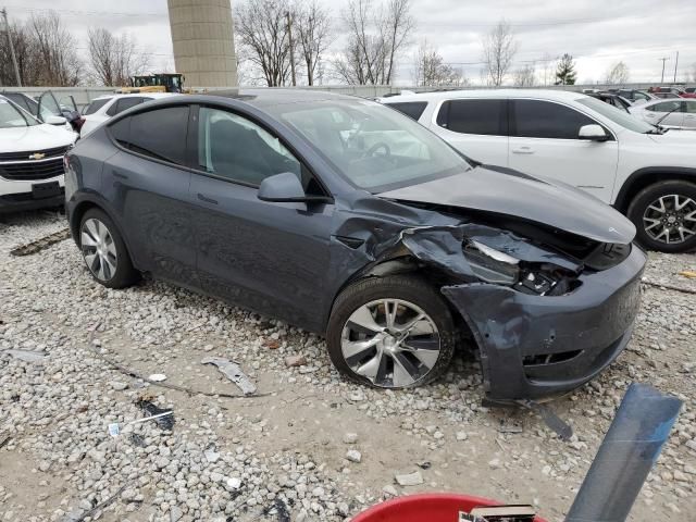 2020 Tesla Model Y