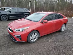 2019 KIA Forte FE en venta en Cookstown, ON