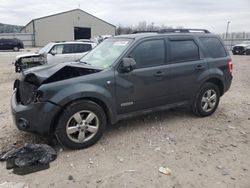 Salvage cars for sale at Lawrenceburg, KY auction: 2008 Ford Escape XLT