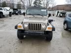 2004 Jeep Wrangler / TJ Sport