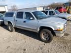 2001 Dodge Dakota Quattro