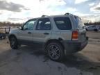 2003 Ford Escape XLT