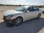 2005 Nissan Maxima SE