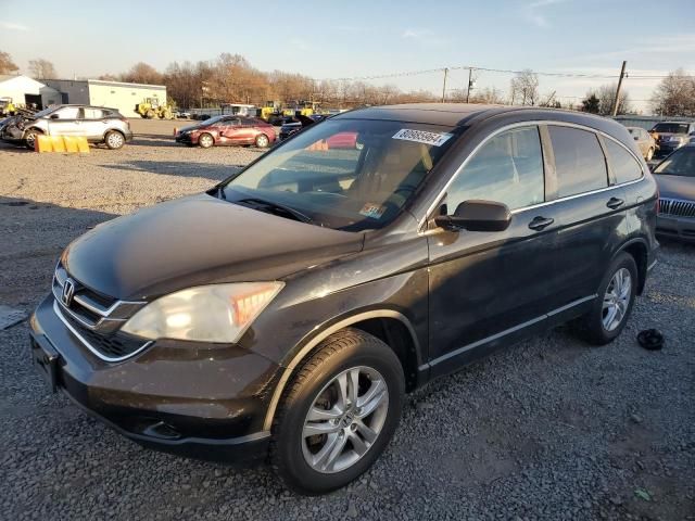 2010 Honda CR-V EXL