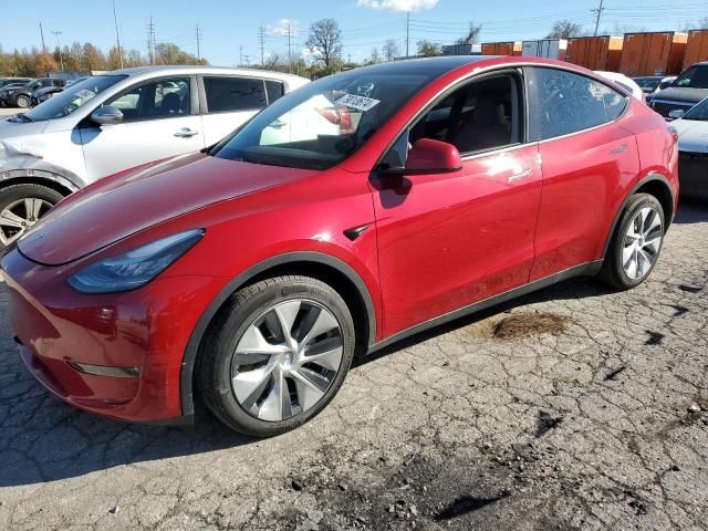 2020 Tesla Model Y