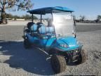 2021 Icon Golf Cart