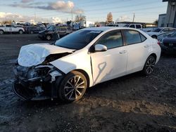 Salvage cars for sale at Eugene, OR auction: 2019 Toyota Corolla L