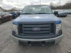 2010 Ford F150