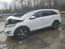 Salvage cars for sale at Waldorf, MD auction: 2018 KIA Sorento EX