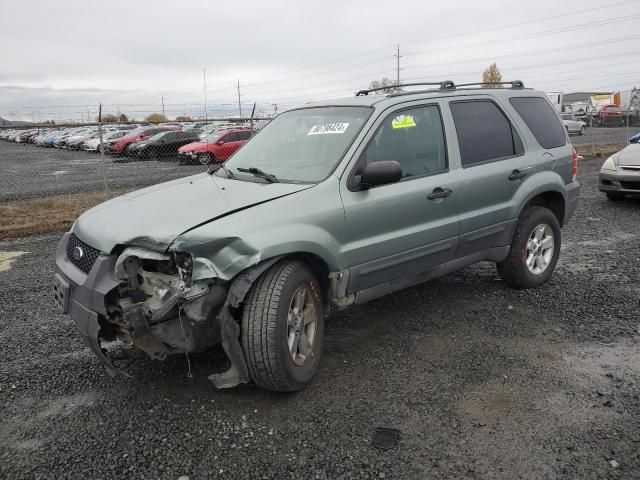 2005 Ford Escape XLT