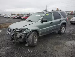 Salvage cars for sale at Eugene, OR auction: 2005 Ford Escape XLT