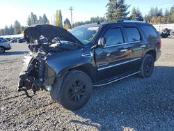 2009 Cadillac Escalade en venta en Graham, WA