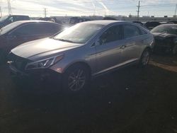 Salvage cars for sale at Elgin, IL auction: 2016 Hyundai Sonata SE