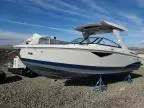 2020 Cobia/robalo Boat