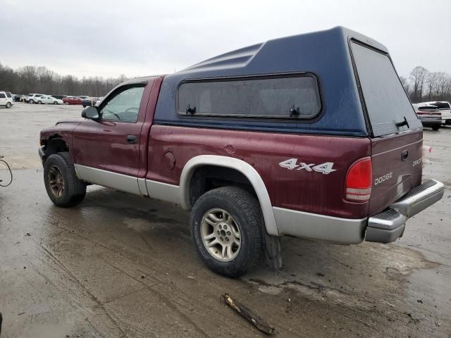 2003 Dodge Dakota SLT