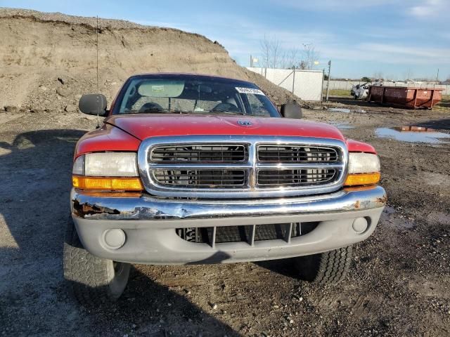 1999 Dodge Dakota