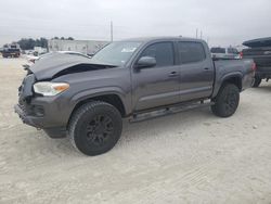 Toyota salvage cars for sale: 2019 Toyota Tacoma Double Cab