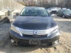 2010 Lexus HS 250H