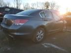 2010 Honda Accord LXP