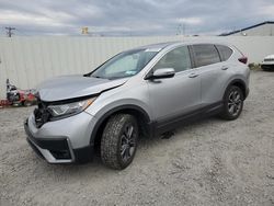 Salvage cars for sale from Copart Albany, NY: 2020 Honda CR-V EX