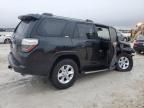 2024 Toyota 4runner SR5/SR5 Premium