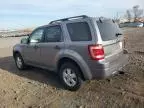 2008 Ford Escape XLT