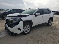 2020 Toyota Rav4 XLE en venta en Arcadia, FL