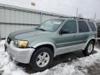 2007 Ford Escape HEV