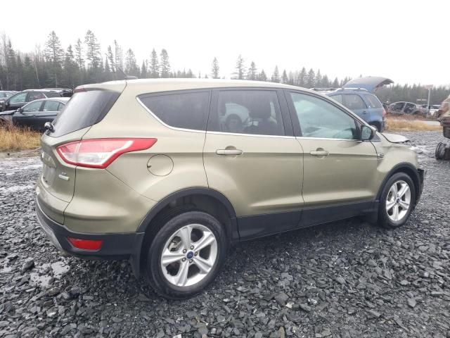 2013 Ford Escape SE