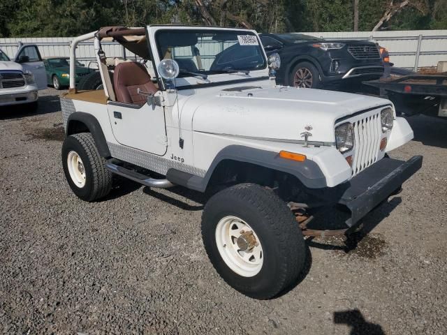 1992 Jeep Wrangler / YJ S