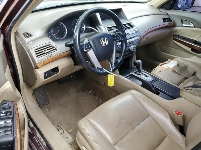 2009 Honda Accord EXL