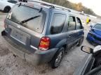 2005 Ford Escape XLS