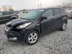 Ford salvage cars for sale: 2014 Ford Escape SE