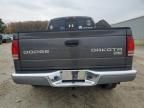 2004 Dodge Dakota Quad SLT