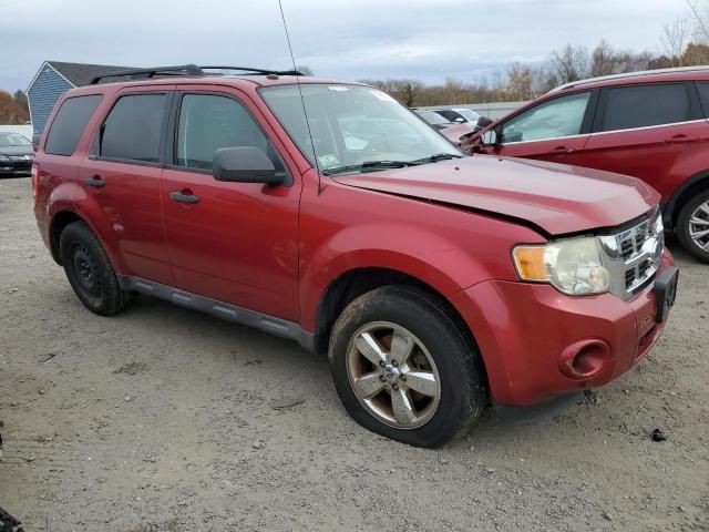 2009 Ford Escape XLT