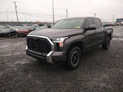 Run And Drives Cars for sale at auction: 2022 Toyota Tundra Crewmax SR