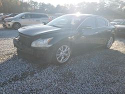 Nissan salvage cars for sale: 2013 Nissan Maxima S