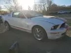 2009 Ford Mustang Shelby GT500