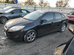 Salvage cars for sale at Walton, KY auction: 2014 Ford Focus SE