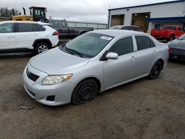 2010 Toyota Corolla Base