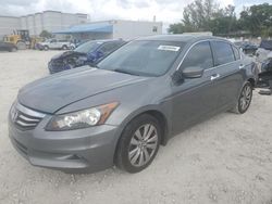 Salvage cars for sale from Copart Opa Locka, FL: 2011 Honda Accord EXL